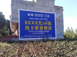 淳安品牌公司青睐的墙体广告