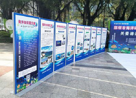 淳安KT板的种类和知识。